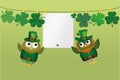 Owls in national costume for the Patrick day fly around the rope