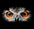 Owls Portrait. owl eyes - abstract painting, fractal Royalty Free Stock Photo