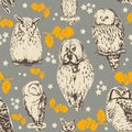 Owls hand-drawn seamless pattern. Vector background