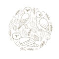 Owls set . Vector illustration Royalty Free Stock Photo