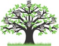 Owls in a tree