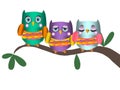 Owls on tree branch