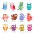 Owls vector cartoon cute bird set cartoon owlet character Royalty Free Stock Photo