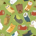 Owls vector cartoon cute bird set owlet character kids animal baby art for children owlish collection isolated on Royalty Free Stock Photo