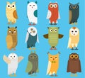 Owls vector cartoon cute bird set owlet character kids animal baby art for children owlish collection isolated on Royalty Free Stock Photo