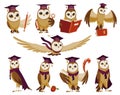 Owls wearing graduation caps. Cute wise owls with hats. Symbols of wisdom or graduation from higher or secondary