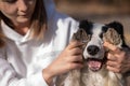 The owner closes the eyes of the border collie dog with his paws.