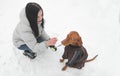 Owner and a cute brown dog in the clothes sit in the snow and play. Winter walks and dog games in the snow