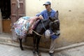 Owner and donkey waiting in Medina of Fez