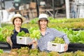 Owner farmer working and care vegetable or nurse growth plants Hydroponic organic in greenhouse. Asian family women gardener in a