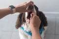 Owner giving medication to his dog undergoing thyroid treatment