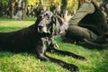 Owner holding his dog, brown hunting german shorthaired pointer, kurzhaar,