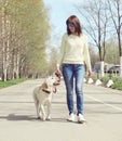 Owner and labrador retriever dog outdoors walking Royalty Free Stock Photo