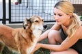 Owner petting dog. Female owner of petting their dog in garden.