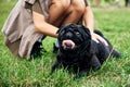 Owner petting pug dog on grass