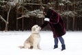 Owner playing with her dog. South Russian Shepherd Dog on a background of winter coniferous forest