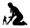 Owner woman trainer keeps miniature Pincher dog. Girl dresser with Manchester terrier.