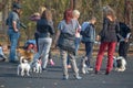 Owners with their pets and a photographer. Spitz, Jack Russell T