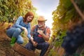 Owners of the vineyard control the ripening vines Royalty Free Stock Photo