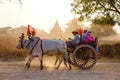 Ox cart carrying tourists in Bagan, Myanmar