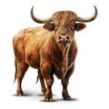 Ox isolated on white created with Generative AI. Big bull with long horns. Strong mammal.