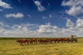 An ox-wagon or bullock wagon under the African sky at Sandstone Estates.