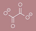 Oxalate anion, chemical structure. Oxalate salts can form kidney stones. Skeletal formula.