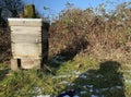 Oxalic Acid treatment in a beehive. Seasonal Beekeeping treatment against the varroa mite.