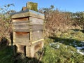 Oxalic Acid treatment in a beehive. Seasonal Beekeeping treatment against the varroa mite.