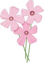 Oxalis Vector Illustration