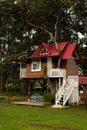 Wooden houses with garden in Oxapampa city