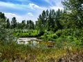 View on wild Vistula oxbow lake in Jozefow near Warsaw in Poland.