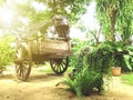 Oxcart Royalty Free Stock Photo