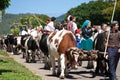 Oxcart parade in Capitan Pastene, Chile