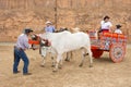 Oxcart parade