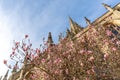 Oxford in spring morning