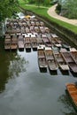 Punts tied up at Magdalen Bridge Oxford arranged in neat pattern with gardens