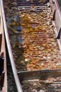 Oxford University punt closeup