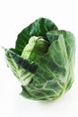 Oxheart Cabbage Royalty Free Stock Photo