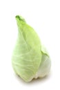 Oxheart Cabbage Royalty Free Stock Photo