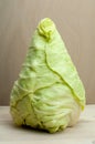 An oxheart cabbage on a wooden table Royalty Free Stock Photo