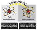 Oxidation and reduction infographic diagram chemistry science education Royalty Free Stock Photo