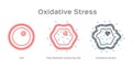 Oxidative Stress cell / free radical