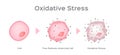 Oxidative Stress cell vector / free radical Royalty Free Stock Photo