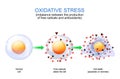 Oxidative stress. free radicals and antioxidants Royalty Free Stock Photo