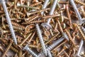 Screws, a pile of assortment for domestic work.