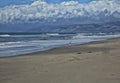 Oxnard California seashore Dog Royalty Free Stock Photo