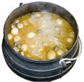 Oxtail stew Royalty Free Stock Photo