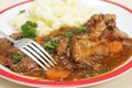Oxtail stew dinner with fork