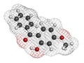 Oxybenzone sunscreen molecule